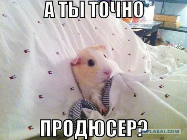 Шедевр "Шоу талантов"