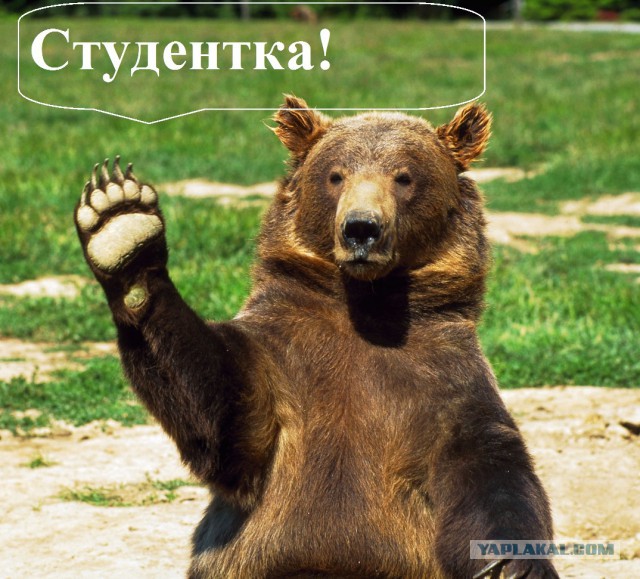 Ты вы*бал мою сестру