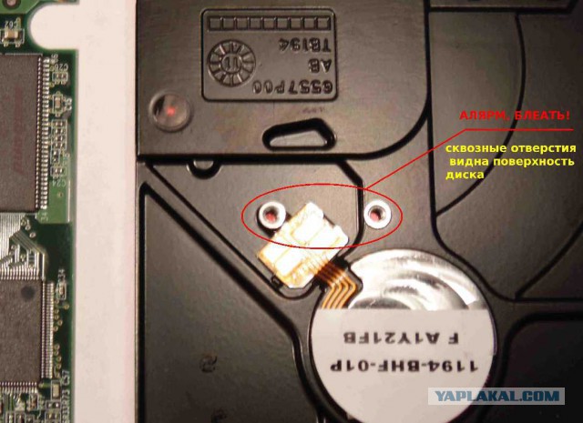 Жесткие диски WD