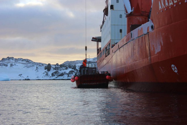 Полтора года зимы