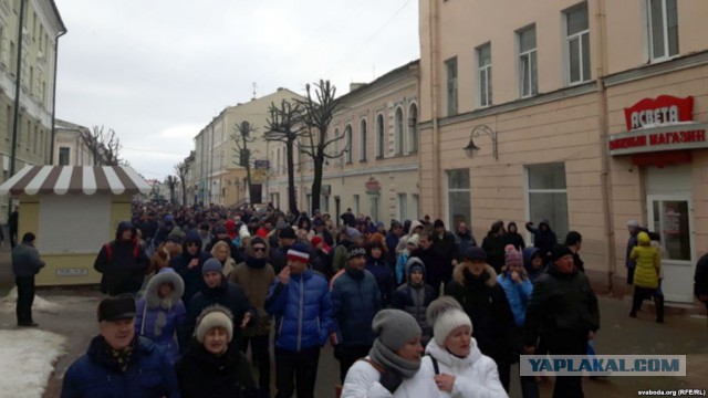 Марш Тунеядцев. Что дальше? Программа тунеядцев