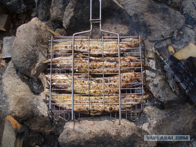 Одиночный поход с ночевкой, как вариант прощания с зимой