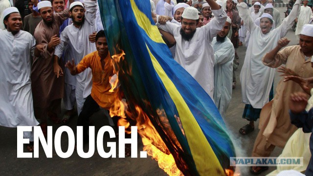 В Швеции насильники после надругательства подожгли половые органы 17-летней девушки