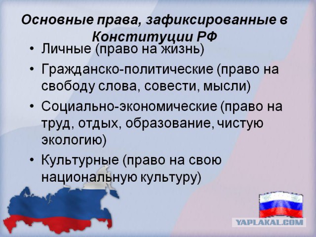 Комитет Госдумы поддержал проекты о запрете оскорбления власти в сети и фейковых новостях