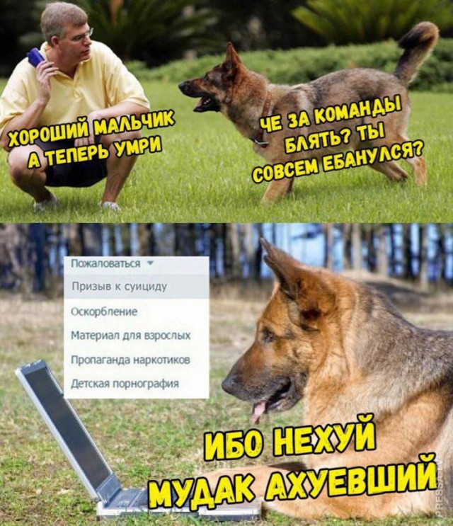 Немного картинок для настроения