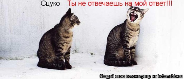 Про выживание в столице Украины