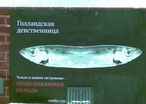 Голландская девственница