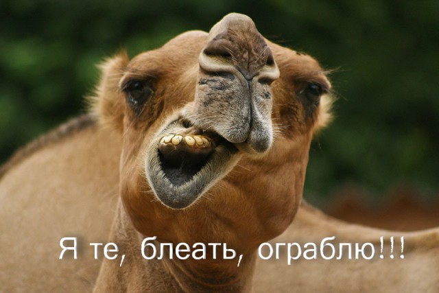 В Калифорнии почти официально разрешено грабить магазины. Но есть лимит на разовый вынос товара