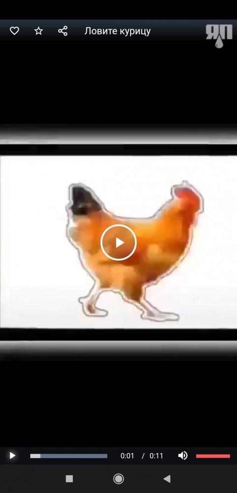 Кому нечем заняться: ловите курицу, нажимая на паузу