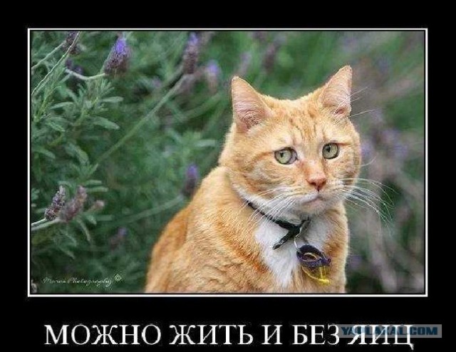 Народное творчество в картинках