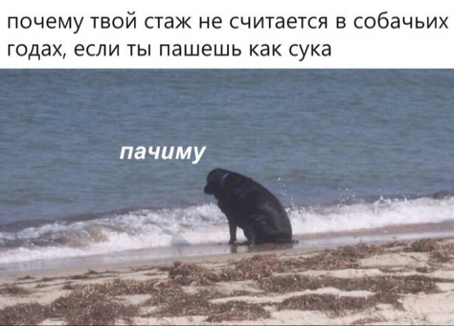15814282.jpg