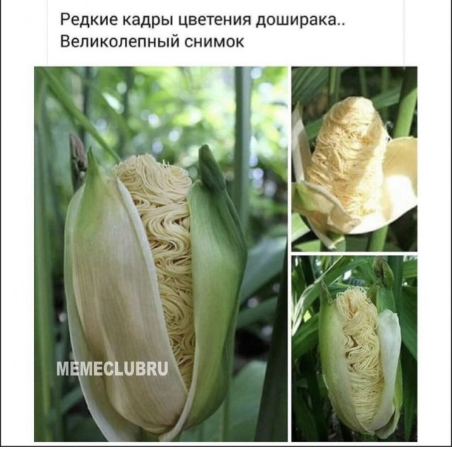Так себе картинки 20.09.21