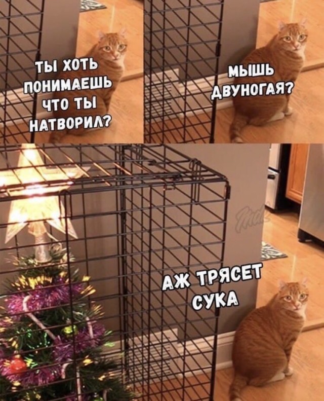 Продолжаем хроники событий "Мухи"
