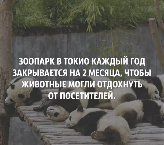 70 удивительных фактов