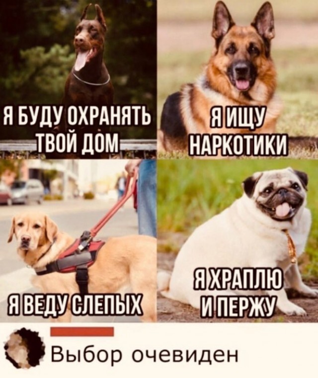 Баянисто-небаянистый юмор 12.04.22
