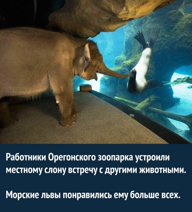 Картинки и мемы для настроения - 03