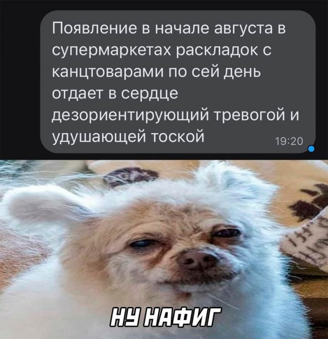 Весёлый полтишок 5.08.22