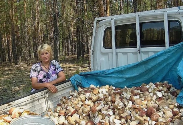 Небольшой грибной фотоотчет