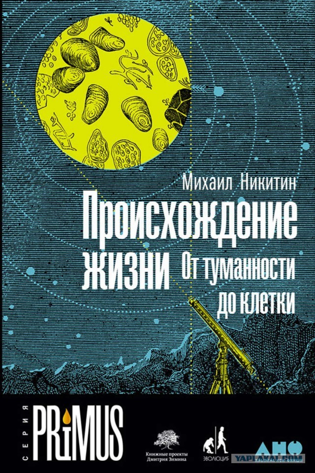 Теория эволюции Дарвина верна? Происхождение человека
