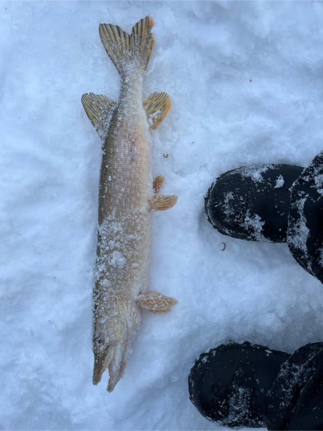 Потерял интерес к рыбалке и охоте