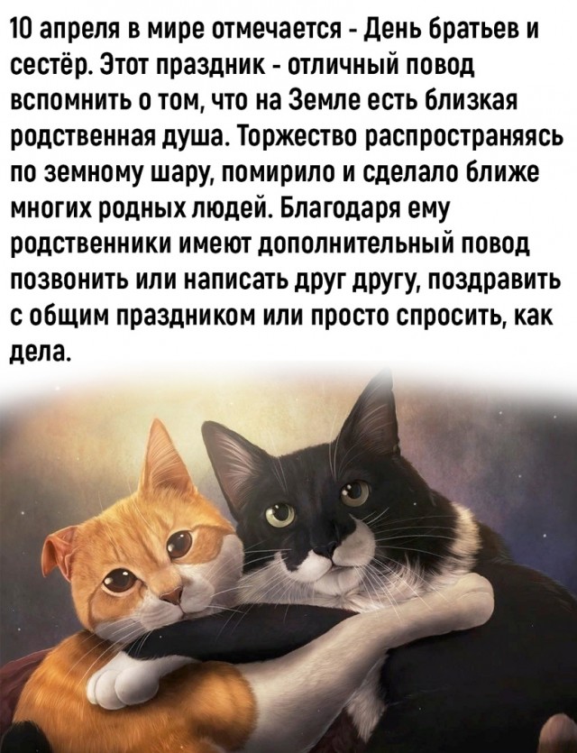 Так себе картинки 11.04.23