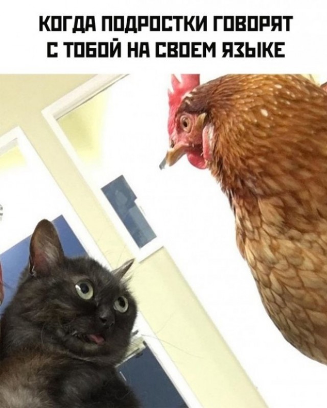 Страшный сон