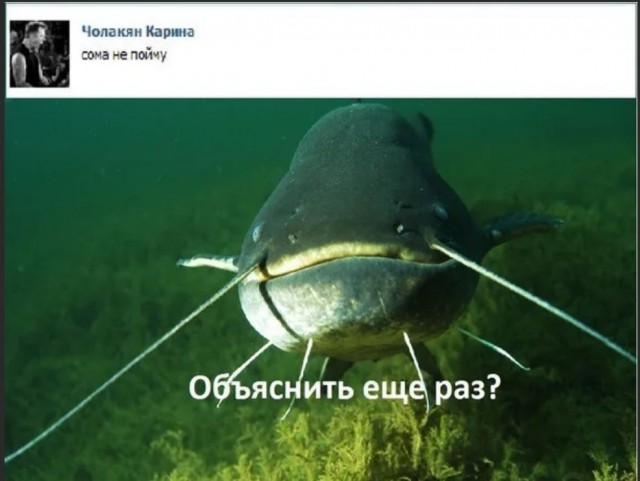 Школа джедаев. Начало