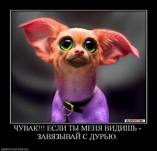 Химия и жизнь