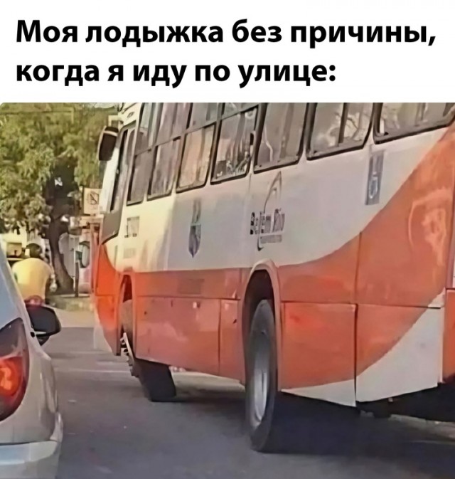 Весёлый полтишок 07.12.23