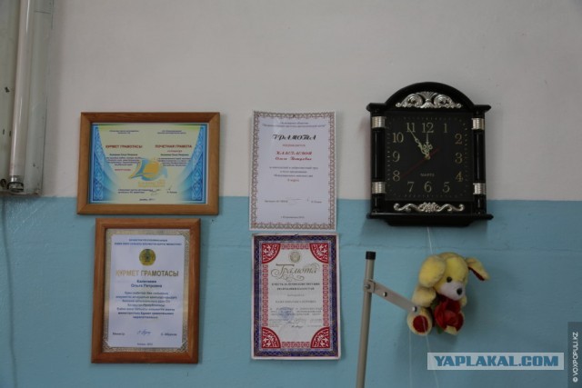 Мои вторые ноги