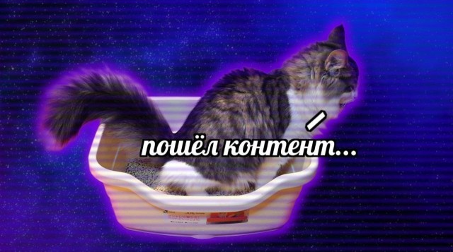 Никакие картинки и тексты
