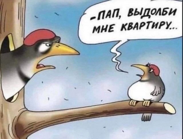 Веселые картики во вторник 29.10