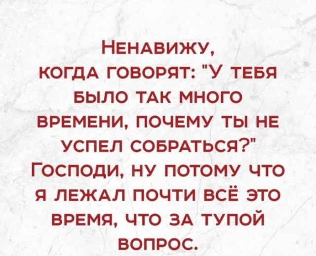 Прикольные и просто красивые картинки 01.11.2024