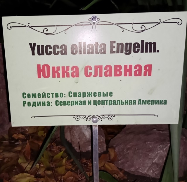 Кому нада по Русски?
