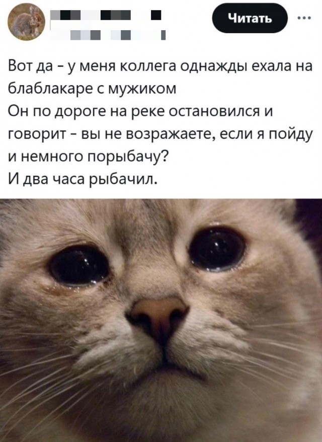 Так себе картинки 20.03.25