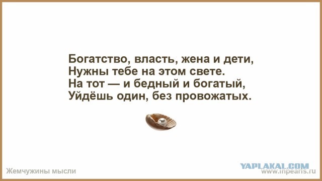 Индийский миллиардер умер, проглотив пчелу во время игры в поло