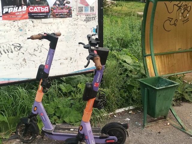 В Подмосковье завёлся фекаловый мститель