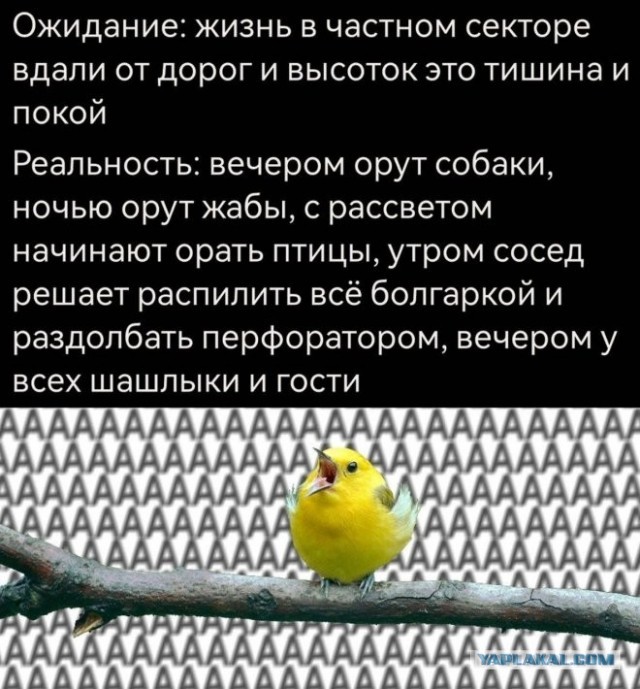 Картиночки, баянчики..
