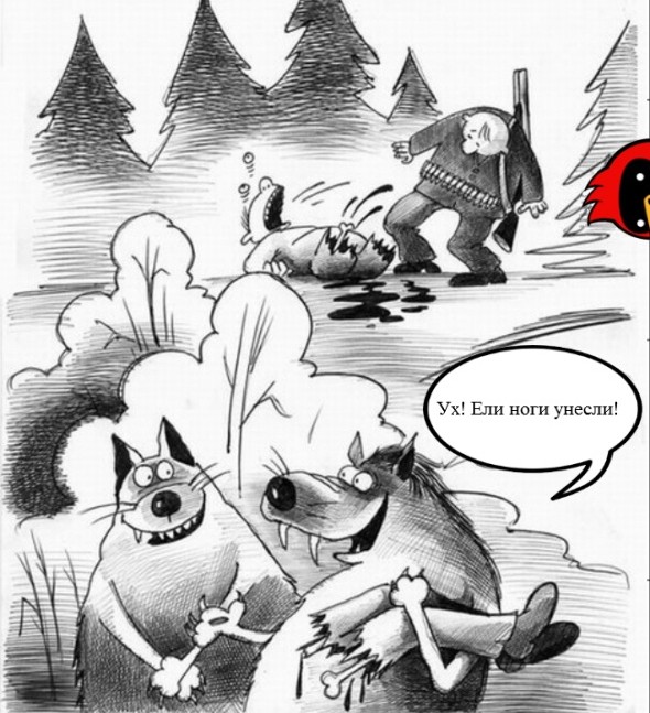 Картинки для деградации 113 (разной степени свежести)