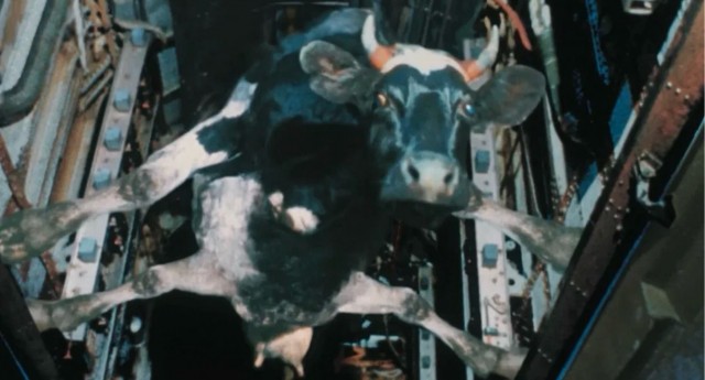 Турок спас себя от удушья, применив приём Геймлиха