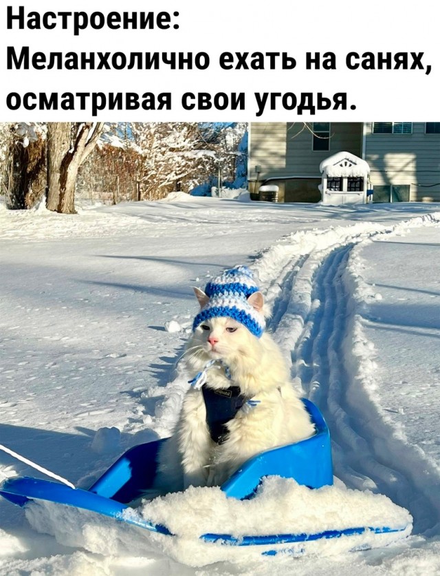 Так себе картинки 19.03.26