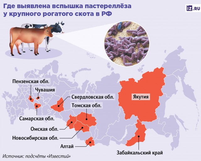 В Зауралье ввели карантин из-за бешенства