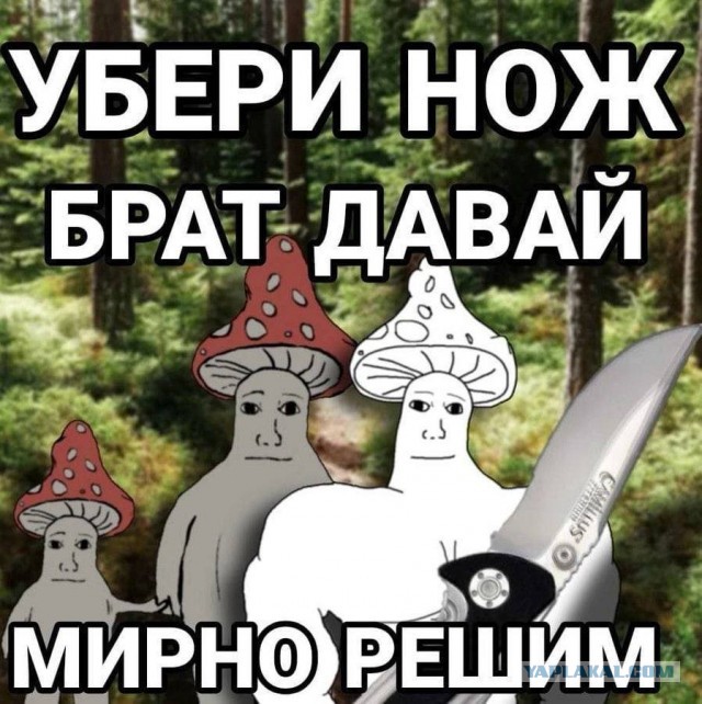 Классические VPN сервисы доживают последние месяцы