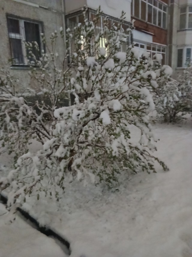 Новосибирск