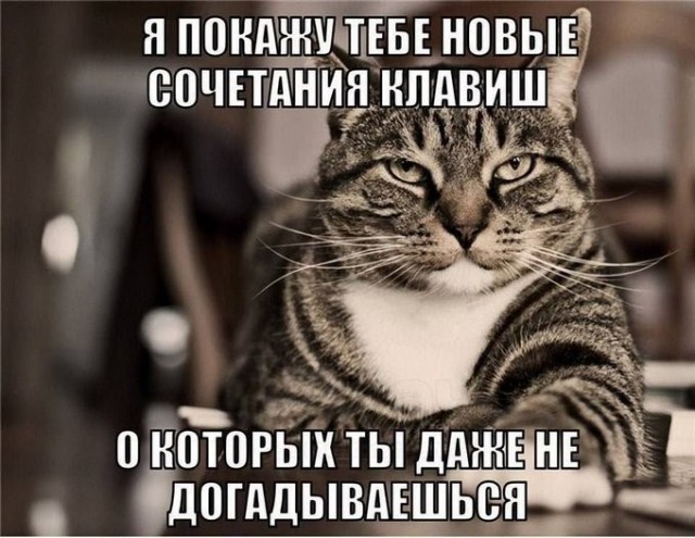 Картинки для деградации 189 (разной степени свежести)