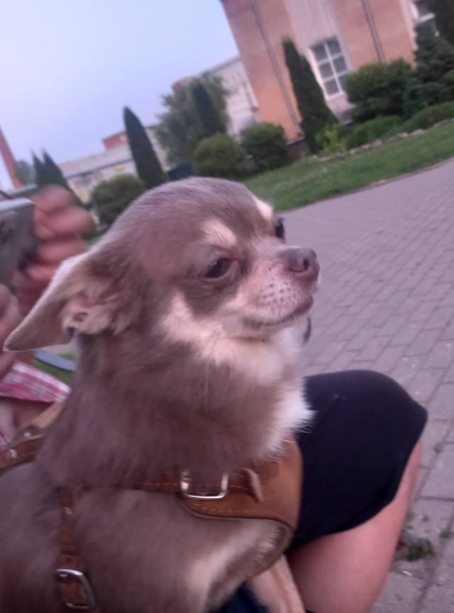 Я вот так на всё это смотрю)