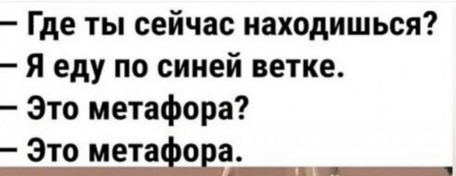 Всё никак не запомнит