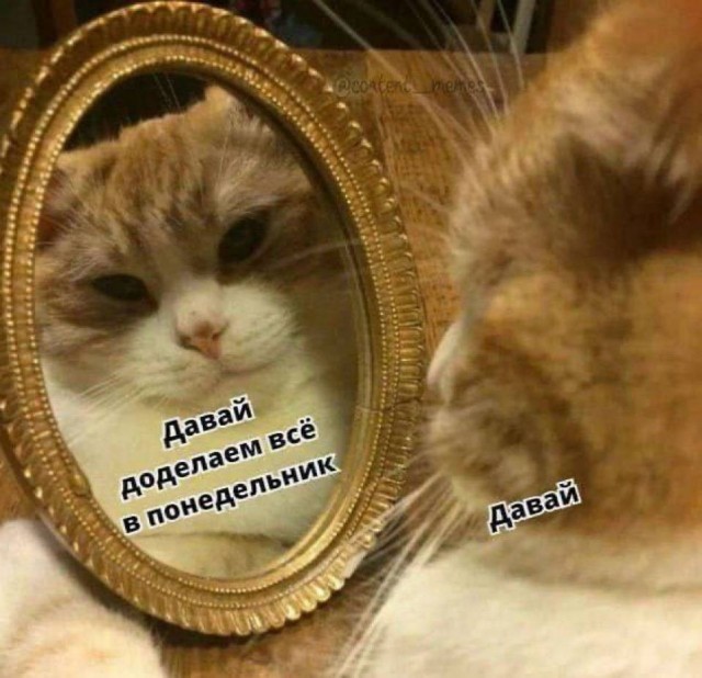 Прикольные и просто красивые картинки 21.08.2026