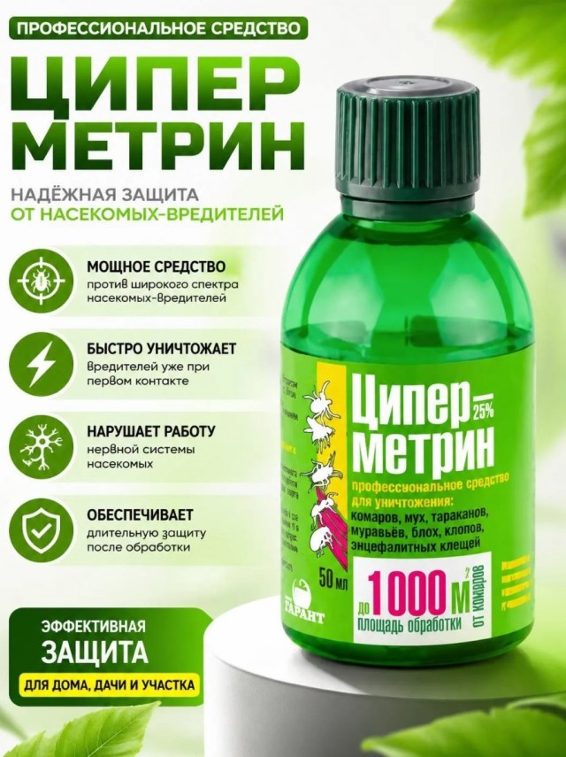 Шершни на даче. Кто как боролся с ними?