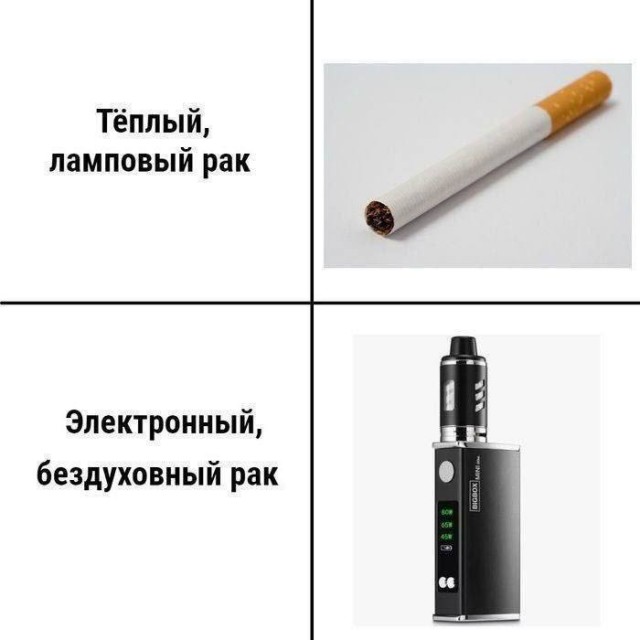 Вместо мозга — аппендикс